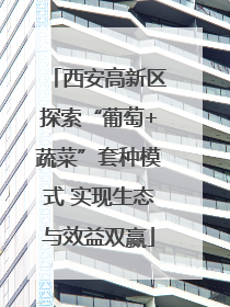 西安高新区探索“葡萄+蔬菜”套种模式 实现生态与效益双赢