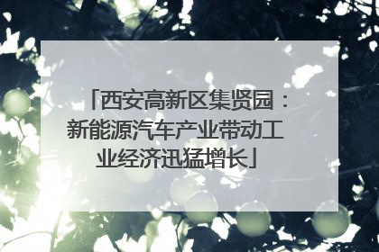西安高新区集贤园：新能源汽车产业带动工业经济迅猛增长