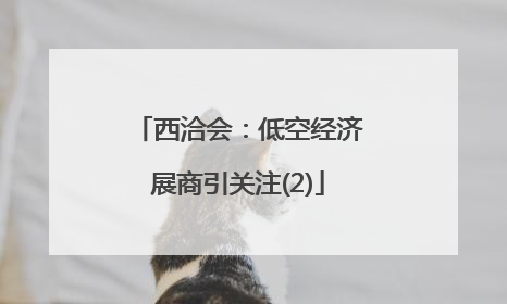 西洽会：低空经济展商引关注(2)