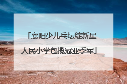 襄阳少儿乓坛绽新星 人民小学包揽冠亚季军