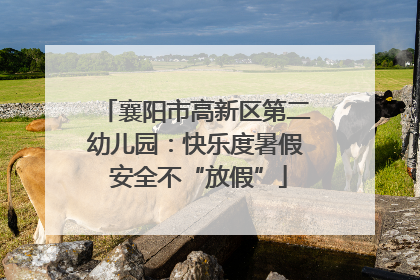 襄阳市高新区第二幼儿园：快乐度暑假 安全不“放假”