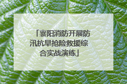 襄阳消防开展防汛抗旱抢险救援综合实战演练