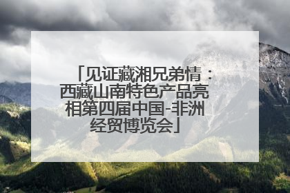 见证藏湘兄弟情：西藏山南特色产品亮相第四届中国-非洲经贸博览会