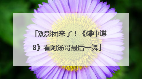 观影团来了！《碟中谍8》看阿汤哥最后一舞