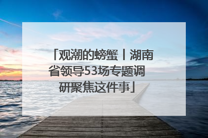 观潮的螃蟹丨湖南省领导53场专题调研聚焦这件事