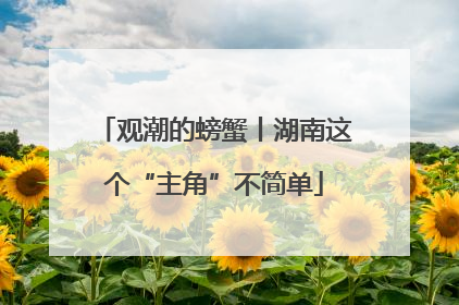 观潮的螃蟹丨湖南这个“主角”不简单