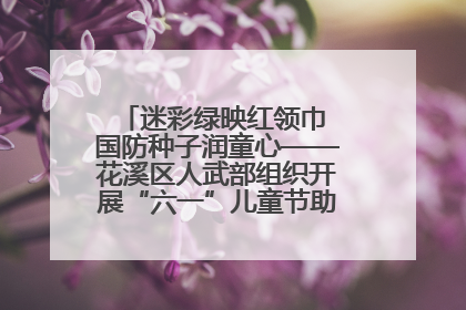 迷彩绿映红领巾 国防种子润童心——花溪区人武部组织开展“六一”儿童节助学兴教活动