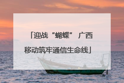 迎战“蝴蝶” 广西移动筑牢通信生命线