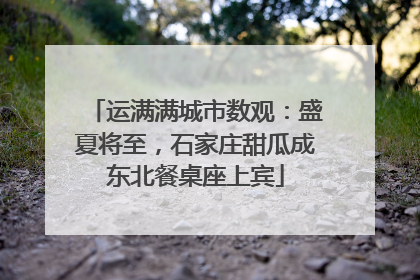 运满满城市数观：盛夏将至，石家庄甜瓜成东北餐桌座上宾