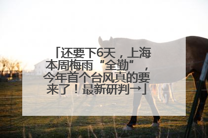 还要下6天，上海本周梅雨“全勤”，今年首个台风真的要来了！最新研判→