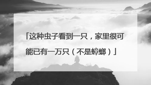 这种虫子看到一只，家里很可能已有一万只（不是蟑螂）