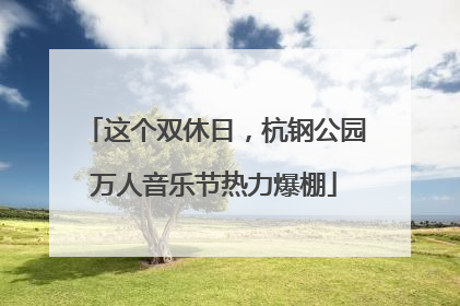 这个双休日，杭钢公园万人音乐节热力爆棚