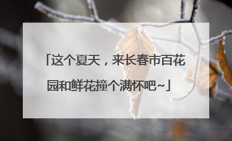 这个夏天，来长春市百花园和鲜花撞个满怀吧~