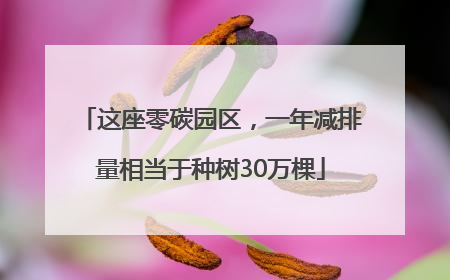 这座零碳园区，一年减排量相当于种树30万棵