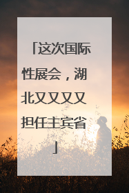 这次国际性展会，湖北又又又又担任主宾省