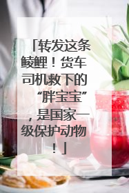 转发这条鲮鲤！货车司机救下的“胖宝宝”，是国家一级保护动物！