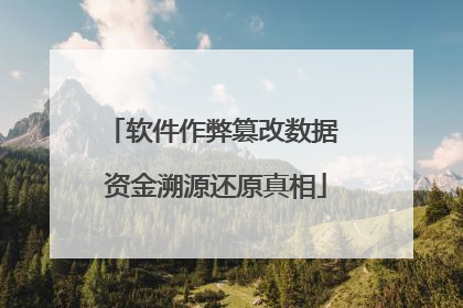 软件作弊篡改数据 资金溯源还原真相