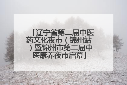 辽宁省第二届中医药文化夜市（锦州站）暨锦州市第二届中医康养夜市启幕