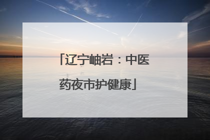 辽宁岫岩：中医药夜市护健康