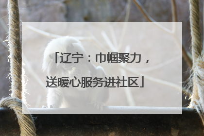 辽宁：巾帼聚力，送暖心服务进社区