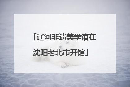 辽河非遗美学馆在沈阳老北市开馆