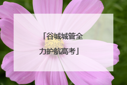 谷城城管全力护航高考