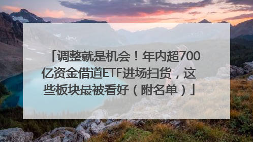调整就是机会！年内超700亿资金借道ETF进场扫货，这些板块最被看好（附名单）