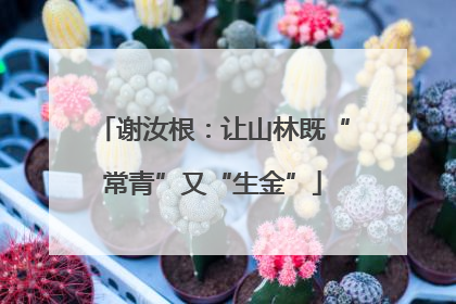谢汝根：让山林既“常青”又“生金”
