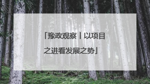 豫政观察丨以项目之进看发展之势