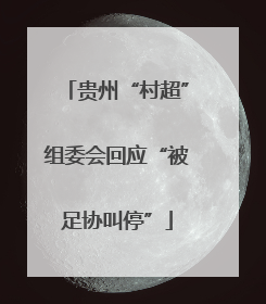 贵州“村超”组委会回应“被足协叫停”