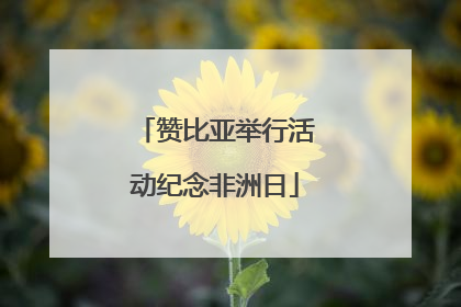 赞比亚举行活动纪念非洲日