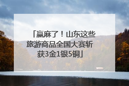 赢麻了！山东这些旅游商品全国大赛斩获3金1银5铜