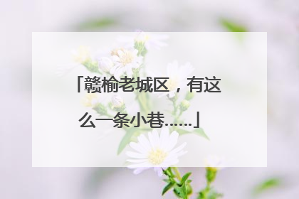 赣榆老城区，有这么一条小巷……
