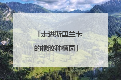 走进斯里兰卡的橡胶种植园