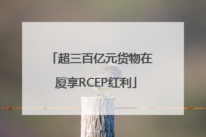 超三百亿元货物在厦享RCEP红利