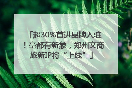 超30%首进品牌入驻！亳都有新象，郑州文商旅新IP将“上线”
