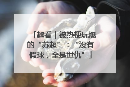 趣看｜被热梗玩爆的“苏超”：“没有假球，全是世仇”