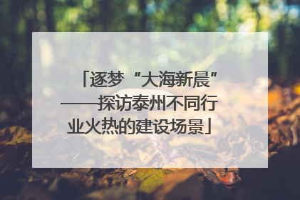 逐梦“大海新晨”——探访泰州不同行业火热的建设场景