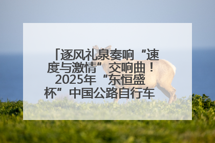 逐风礼泉奏响“速度与激情”交响曲！2025年“东恒盛杯”中国公路自行车联赛第五站（陕西·礼泉站）正式开赛