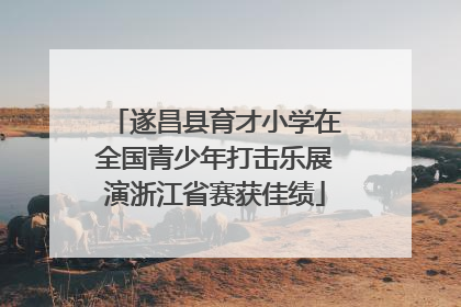 遂昌县育才小学在全国青少年打击乐展演浙江省赛获佳绩