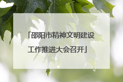 邵阳市精神文明建设工作推进大会召开