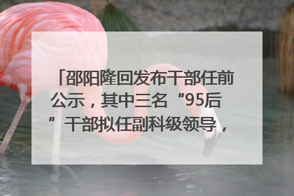 邵阳隆回发布干部任前公示，其中三名“95后”干部拟任副科级领导，均系硕士选调生