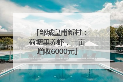 邹城皇甫新村：荷塘里养虾，一亩增收6000元
