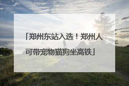 郑州东站入选！郑州人可带宠物猫狗坐高铁