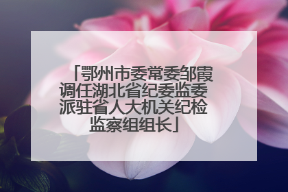 鄂州市委常委邹霞调任湖北省纪委监委派驻省人大机关纪检监察组组长