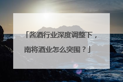 酱酒行业深度调整下，南将酒业怎么突围？
