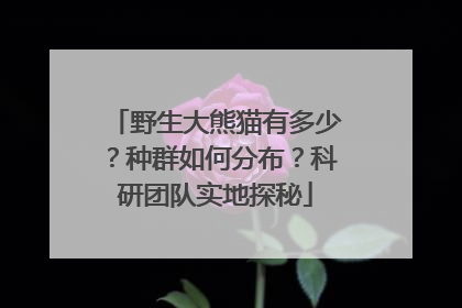 野生大熊猫有多少？种群如何分布？科研团队实地探秘