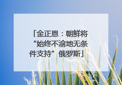 金正恩：朝鲜将“始终不渝地无条件支持”俄罗斯