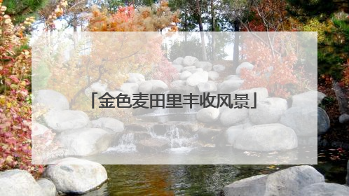 金色麦田里丰收风景