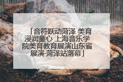 音符跃动菏泽 美育浸润童心 上海音乐学院美育教育展演山东省展演·菏泽站落幕